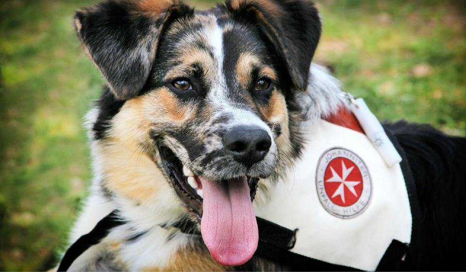 Round Table Gespräch TGI - VdTT Event