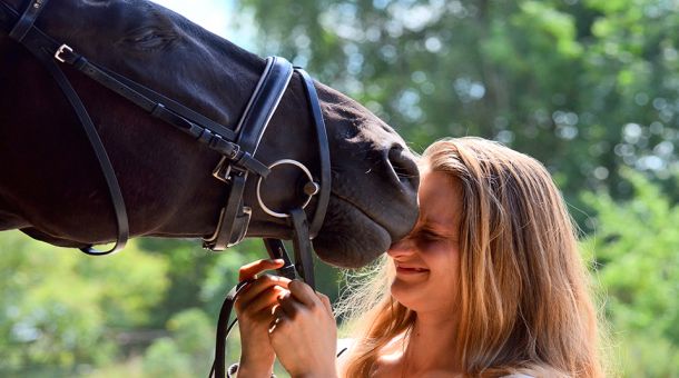 Emotionale Ansteckung zwischen Mensch und Pferd